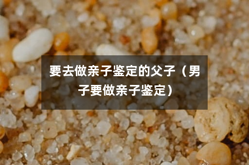 要去做亲子鉴定的父子（男子要做亲子鉴定）