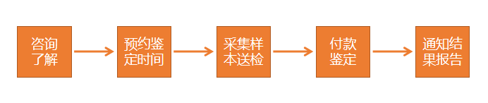 鉴定流程.png
