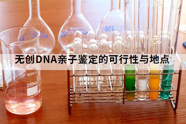 无创DNA亲子鉴定的可行性与地点